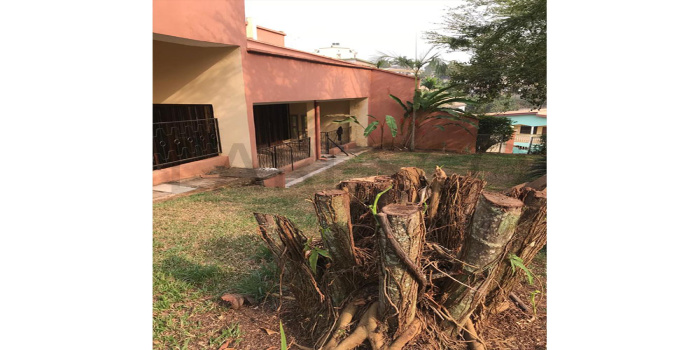 Yaoundé, Bastos, 4 Chambres Chambres, ,4 Salle de bainSalle de bain,Villa,A Louer,1203